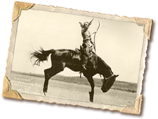 Antique Photo of Cowgirl on Bucking Horse